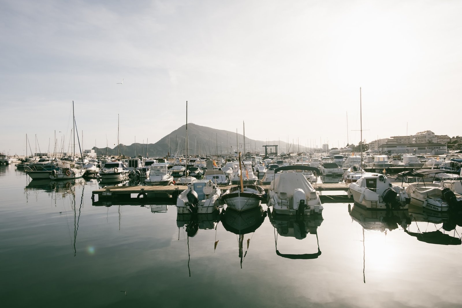 Puerto de Altea con todo tipo de embarcaciones.